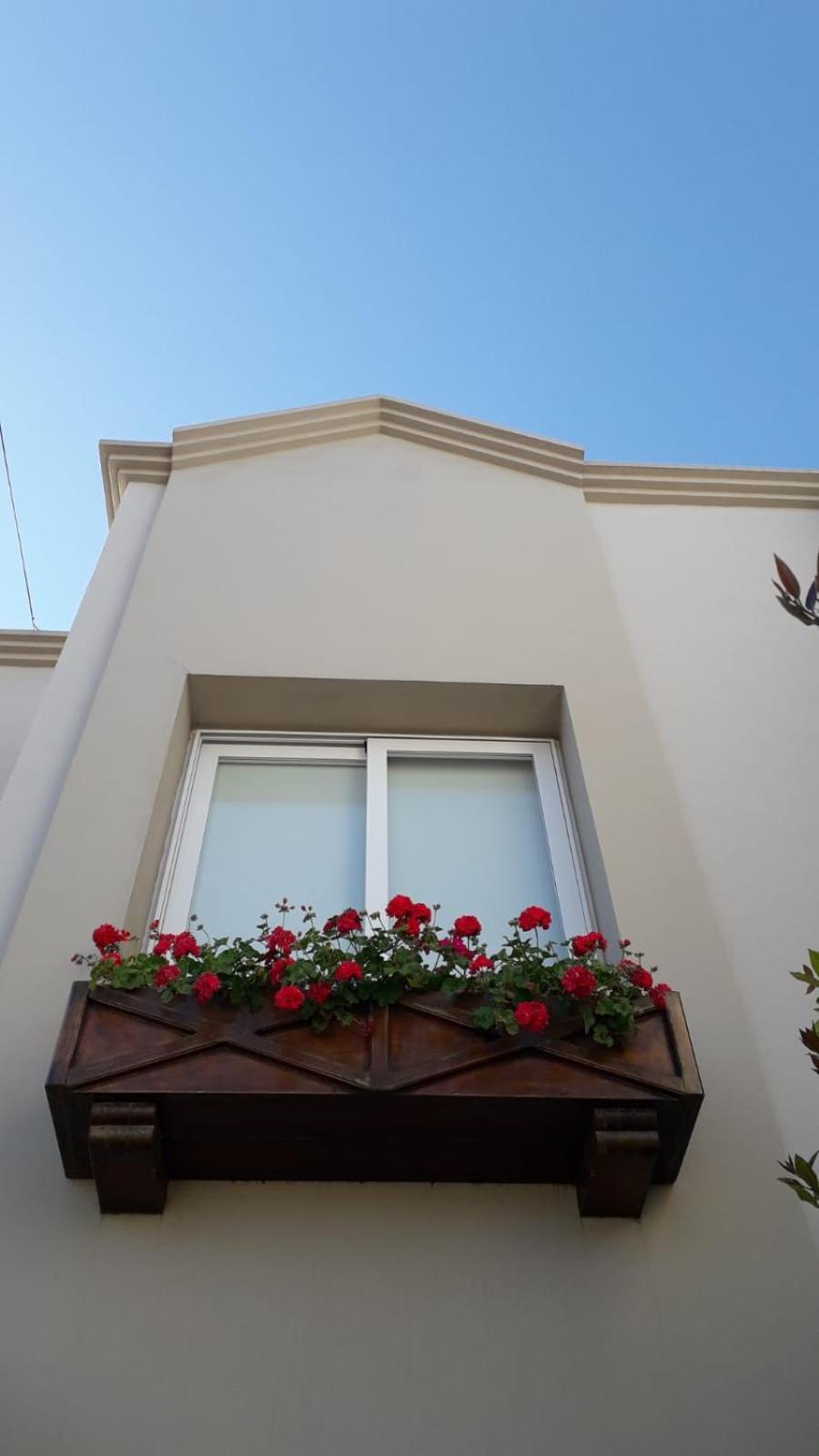 El Olivo Apartment